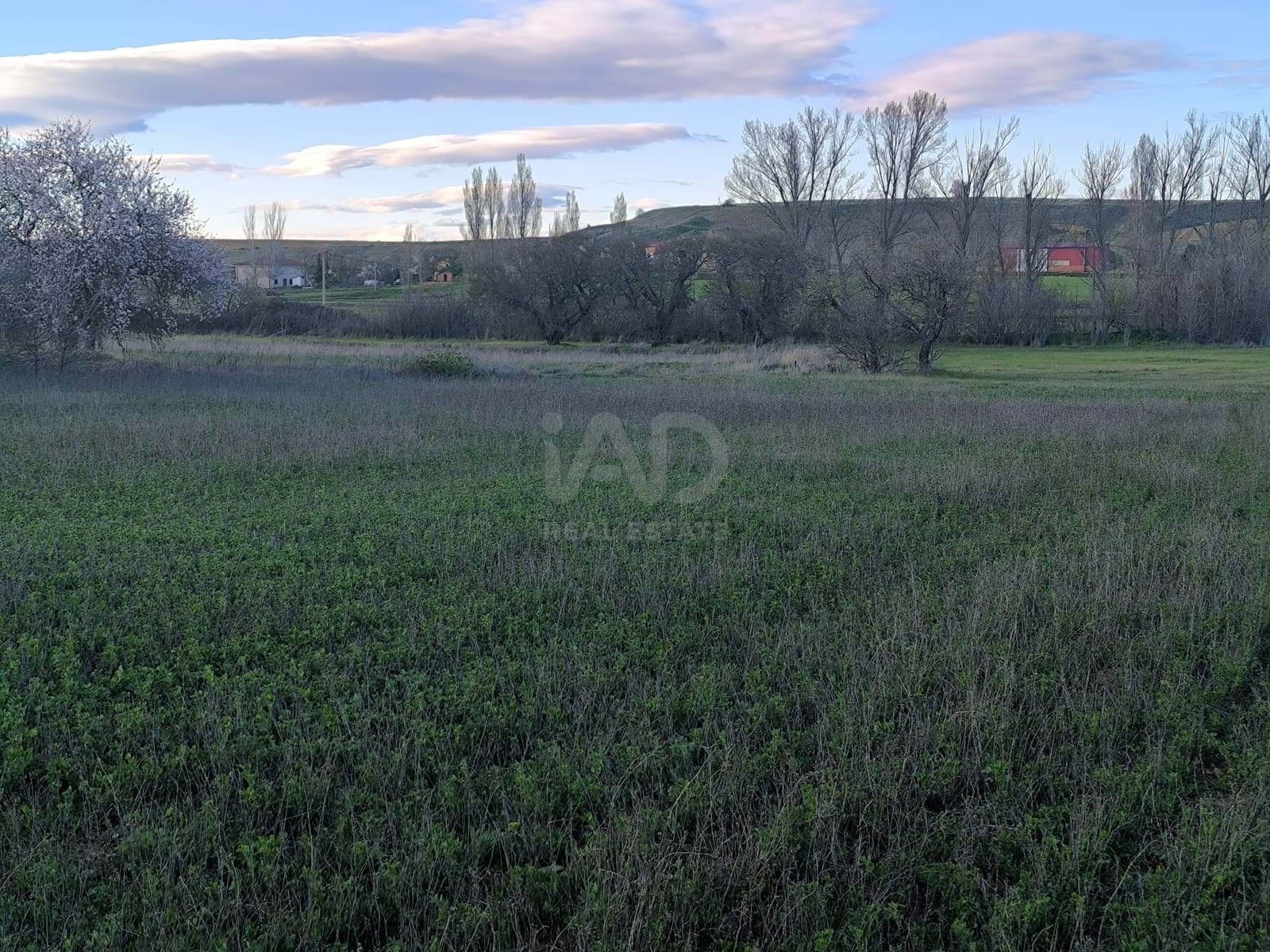 Undeveloped Land for sale in Leon city - € 15,900 (Ref: 9991314)