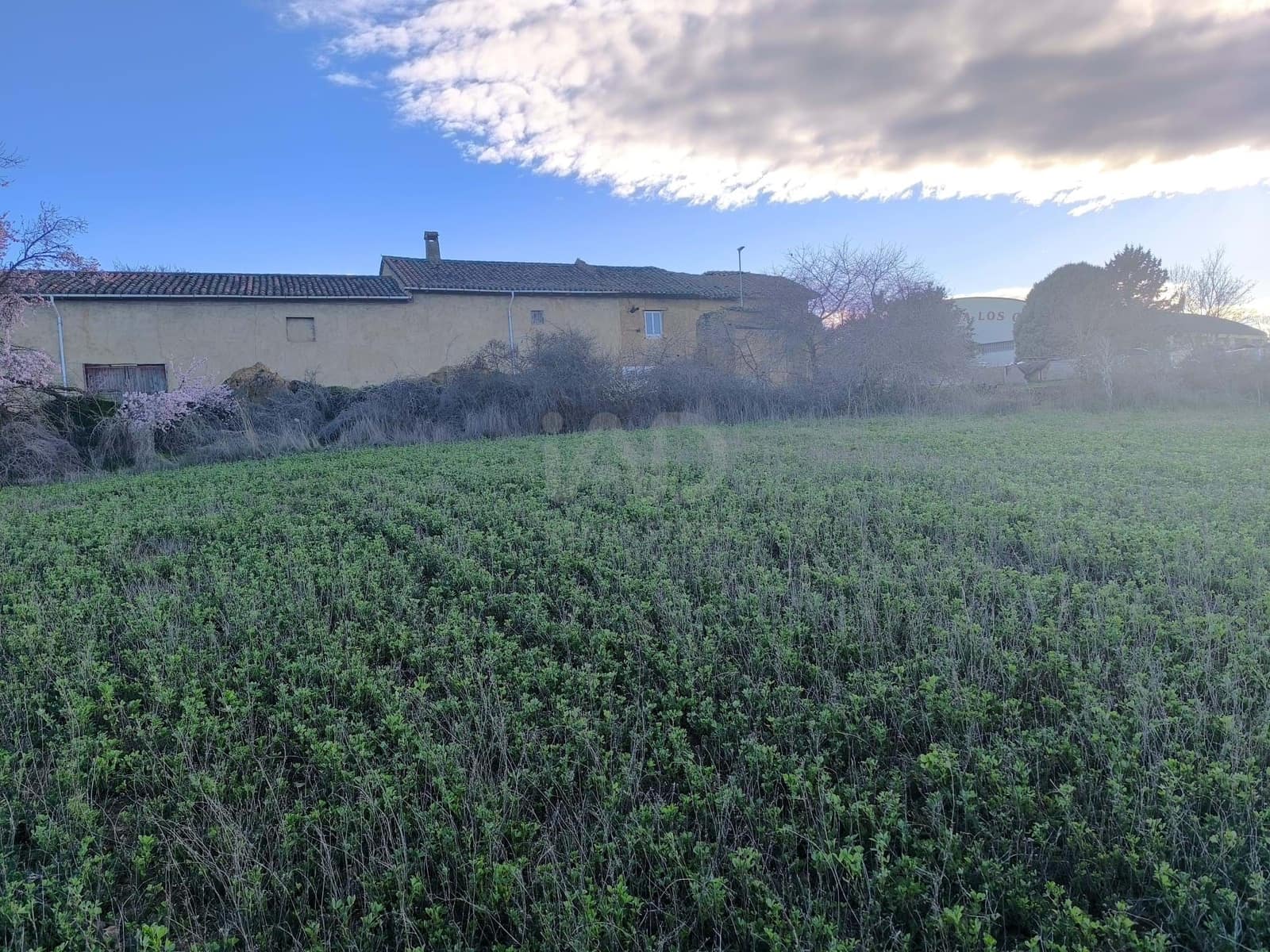Undeveloped Land for sale in Leon city - € 15,900 (Ref: 9991314)
