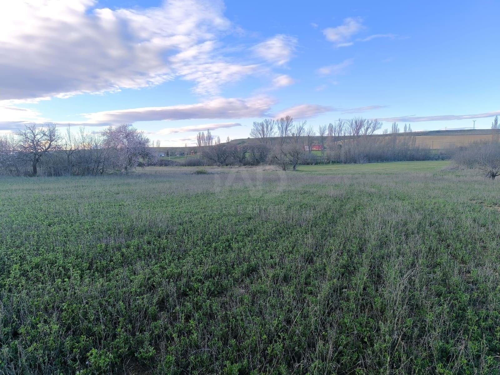 Undeveloped Land for sale in Leon city - € 15,900 (Ref: 9991314)