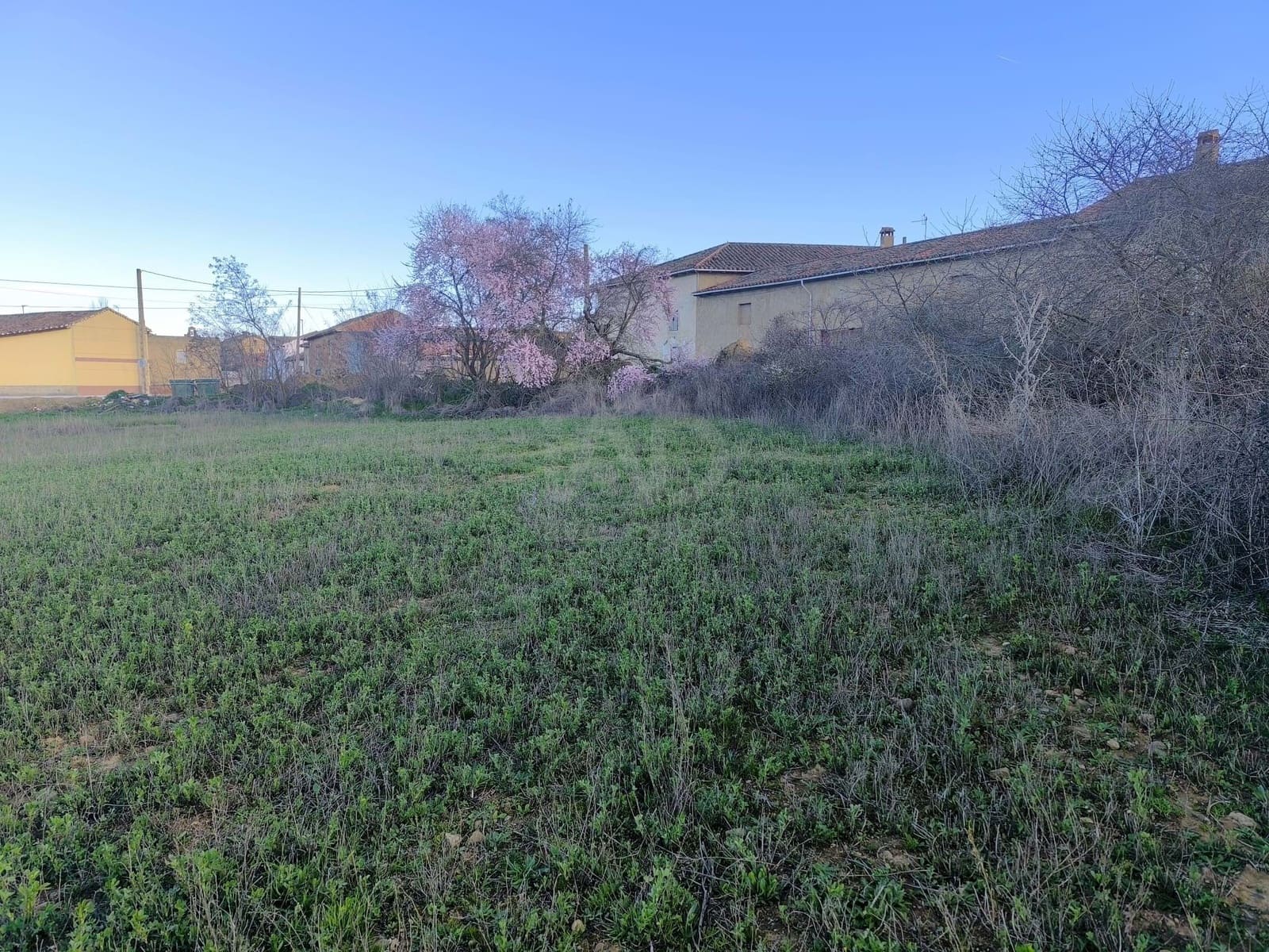 Undeveloped Land for sale in Leon city - € 15,900 (Ref: 9991314)