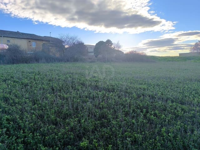Undeveloped Land for sale in León city - € 15,900 (Ref: 9991314)