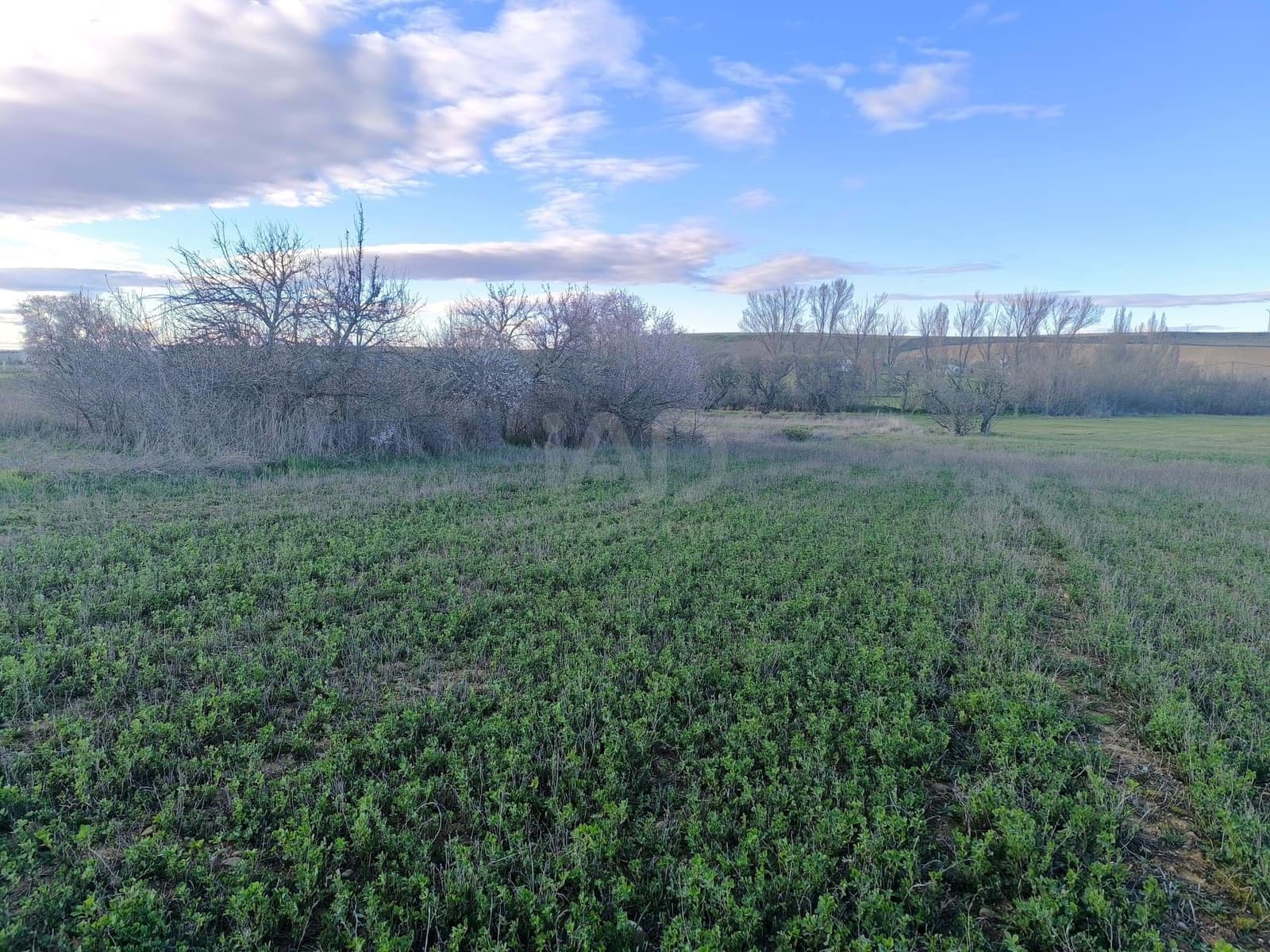 Undeveloped Land for sale in Leon city - € 15,900 (Ref: 9991314)