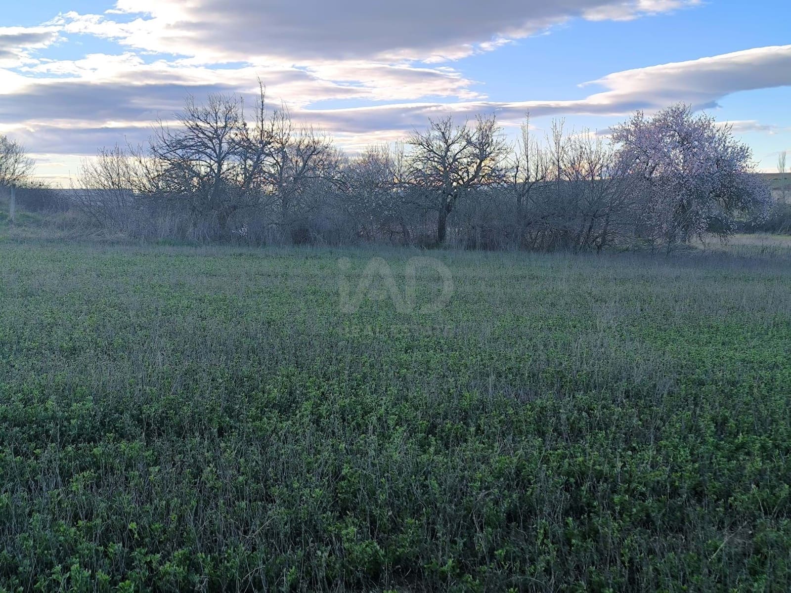 Undeveloped Land for sale in Leon city - € 15,900 (Ref: 9991314)