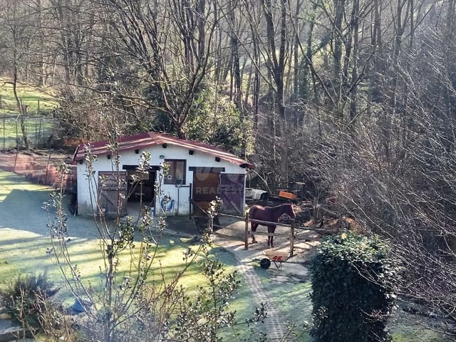 Kommersiell till salu i Oiartzun - 1 210 000 € (Ref: 9991327)