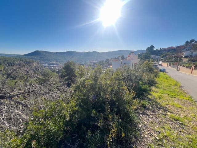 Ubebygd land til salgs i Barcelona by - € 65 000 (Ref: 9991344)