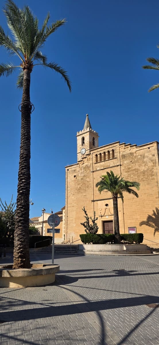 Bouwgrond te koop in Sant Llorenc des Cardassar - € 162.000 (Ref: 9991346)