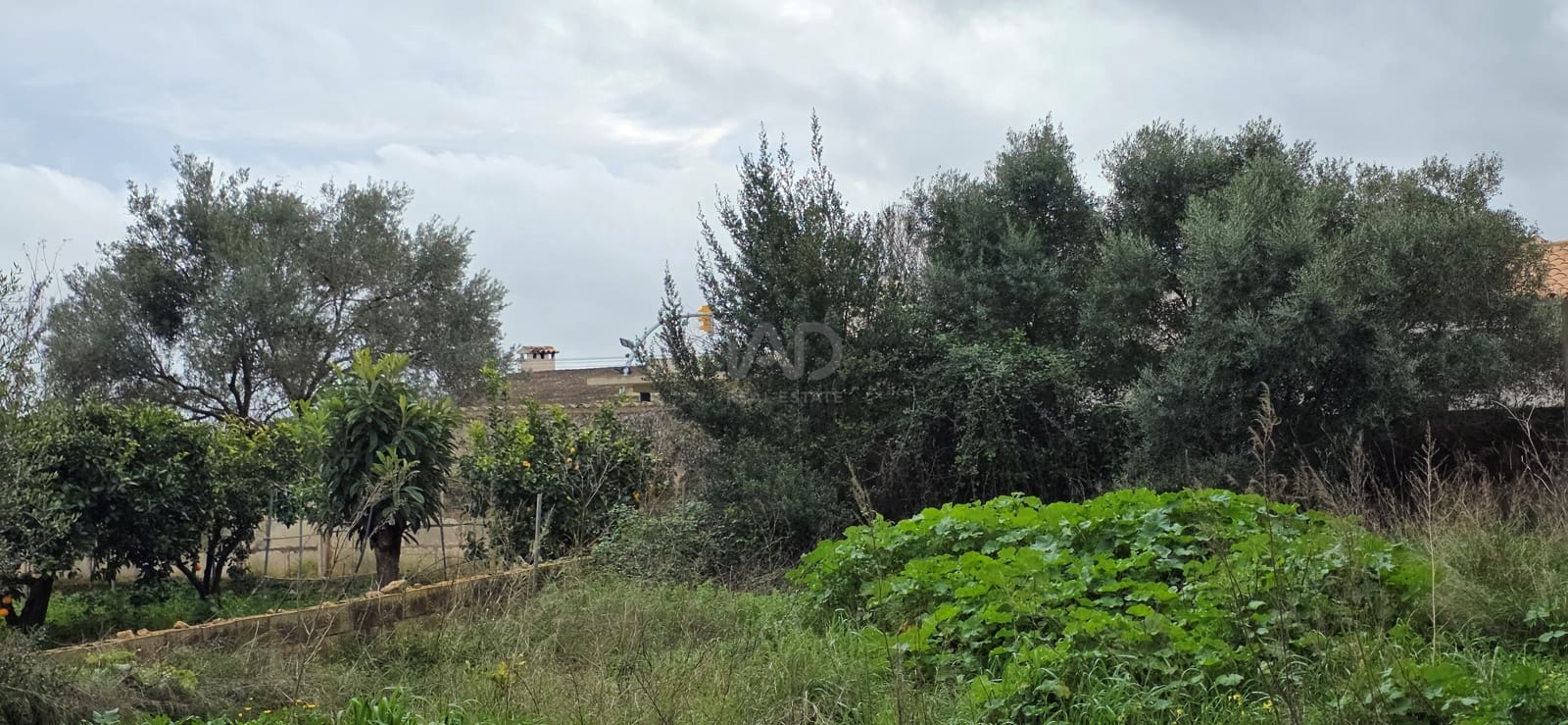 Bouwgrond te koop in Sant Llorenc des Cardassar - € 162.000 (Ref: 9991346)