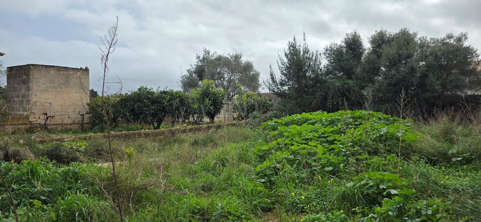 Bouwgrond te koop in Sant Llorenc des Cardassar - € 162.000 (Ref: 9991346)