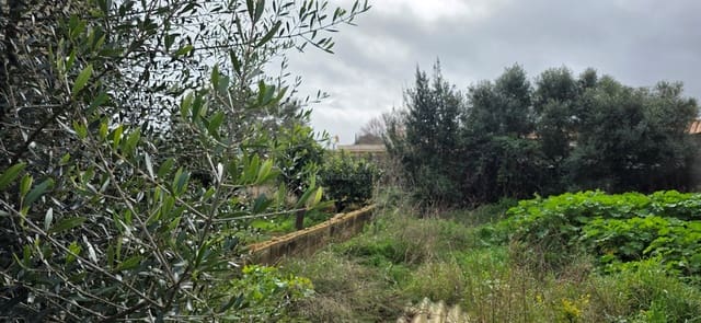 Bouwgrond te koop in Sant Llorenç des Cardassar - € 162.000 (Ref: 9991346)