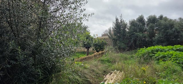 Bouwgrond te koop in Sant Llorenç des Cardassar - € 162.000 (Ref: 9991346)