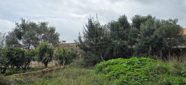 Bouwgrond te koop in Sant Llorenç des Cardassar - € 162.000 (Ref: 9991346)