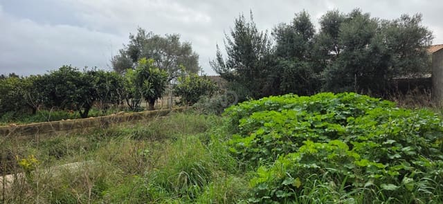 Bouwgrond te koop in Sant Llorenç des Cardassar - € 162.000 (Ref: 9991346)