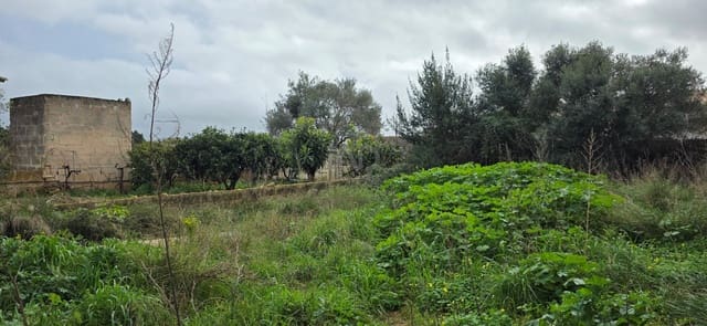 Bouwgrond te koop in Sant Llorenç des Cardassar - € 162.000 (Ref: 9991346)