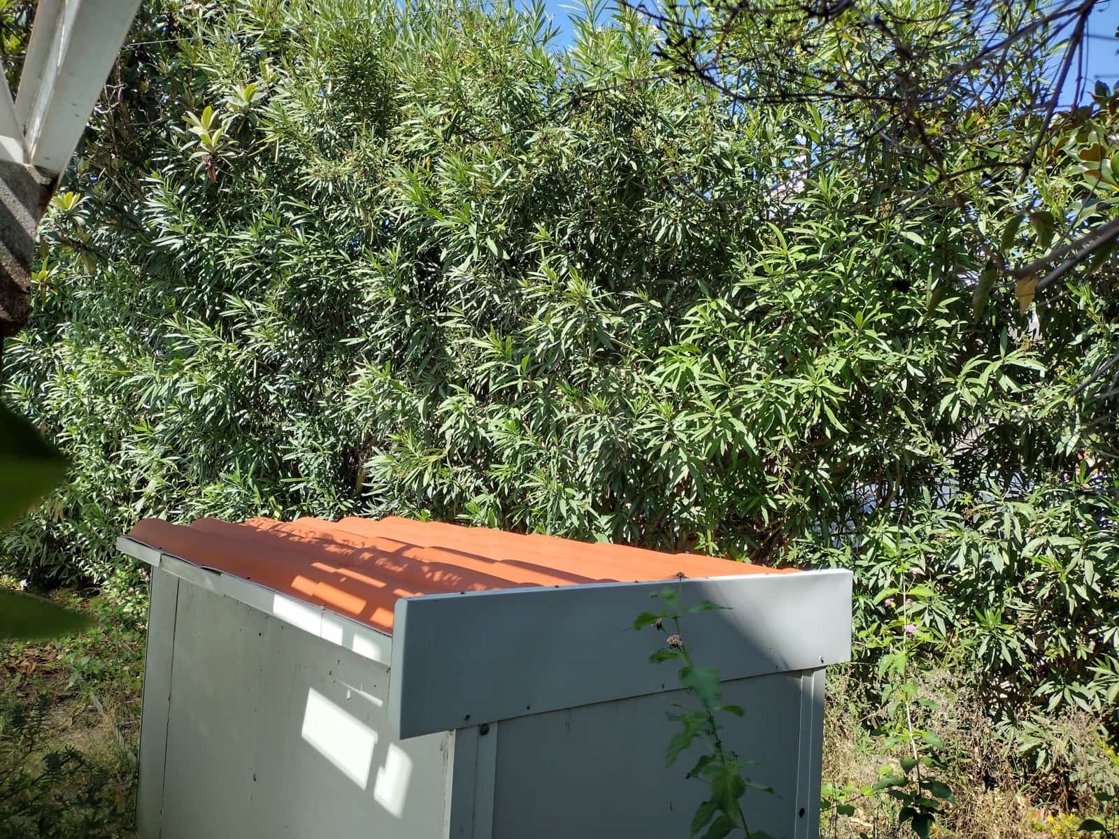 Działka budowlana na sprzedaż w Miasto Barcelona - 166 000 € (Ref: 9991348)