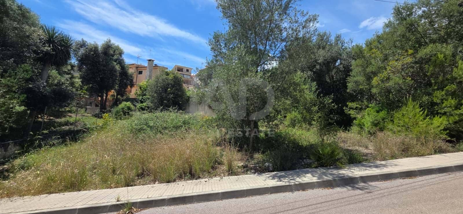 Bauplatz zu verkaufen in Campanet - 285.000 € (Ref: 9991351)