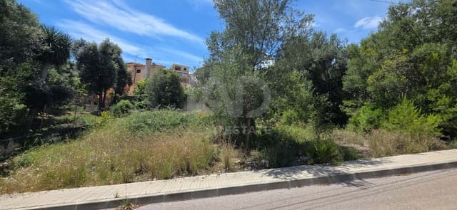 Bauplatz zu verkaufen in Campanet - 285.000 € (Ref: 9991351)