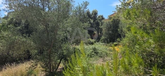 Bauplatz zu verkaufen in Campanet - 285.000 € (Ref: 9991351)