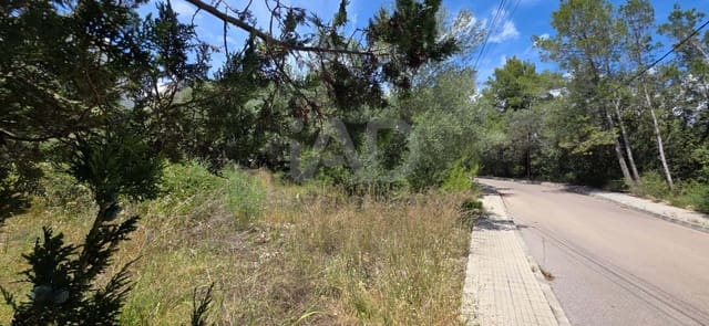 Bauplatz zu verkaufen in Campanet - 285.000 € (Ref: 9991351)