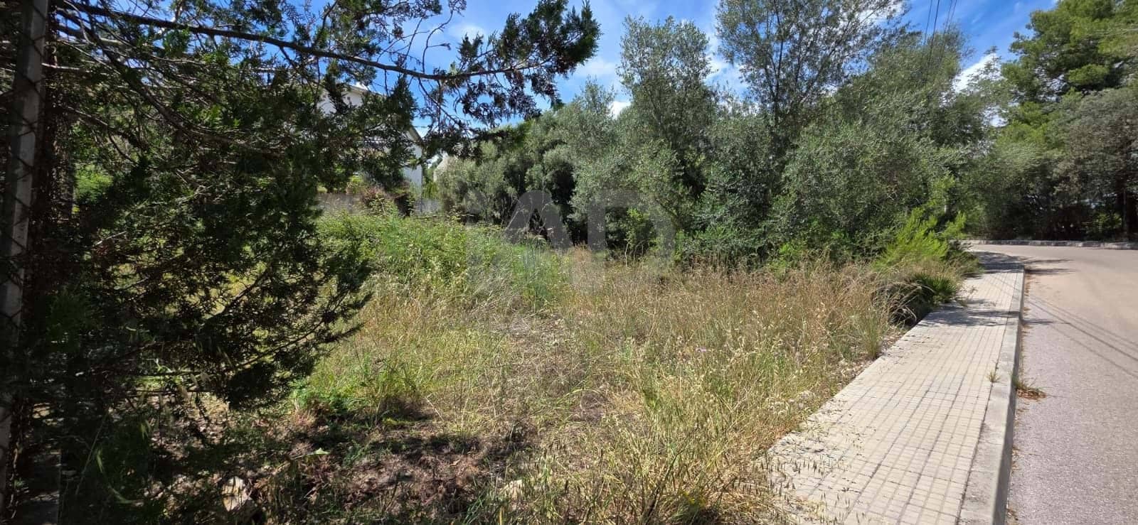 Bauplatz zu verkaufen in Campanet - 285.000 € (Ref: 9991351)