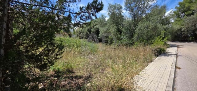 Bauplatz zu verkaufen in Campanet - 285.000 € (Ref: 9991351)