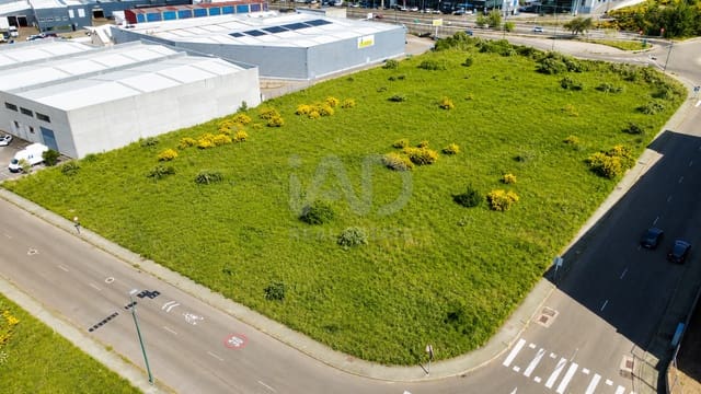 Undeveloped Land for sale in León city - € 525,000 (Ref: 9991386)