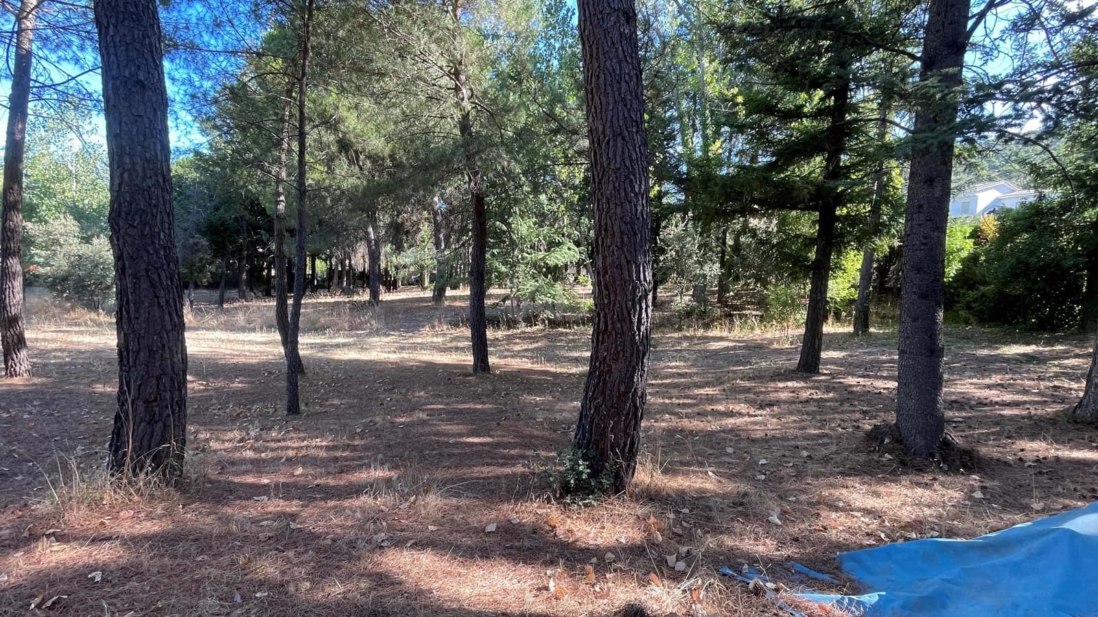Area Edificabile in vendita in Madrid citta - 450.000 € (Rif: 9991387)