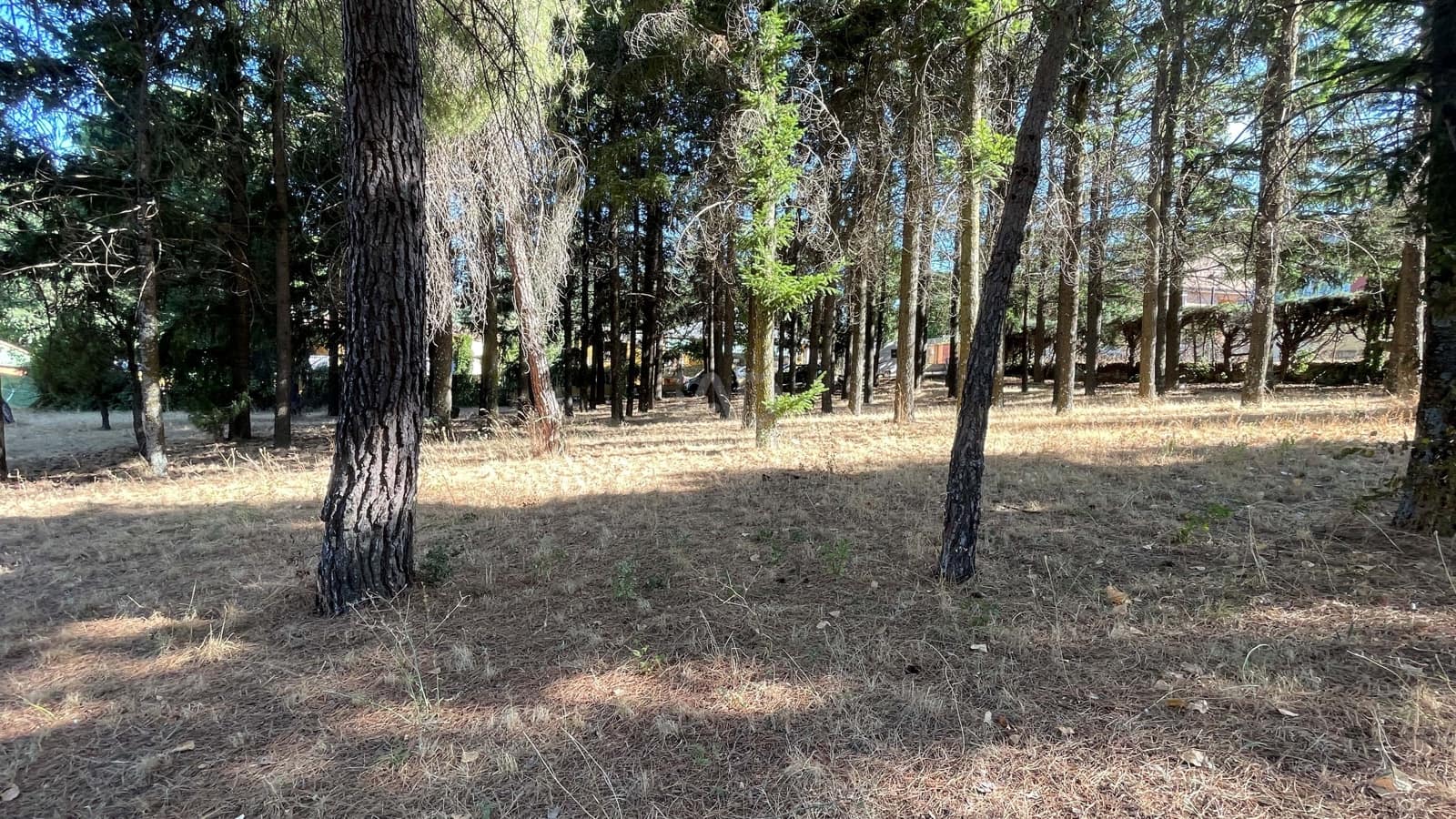 Area Edificabile in vendita in Madrid citta - 450.000 € (Rif: 9991387)