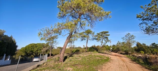 Solar/Parcela en Lepe en venta - 350.000 € (Ref: 9991393)
