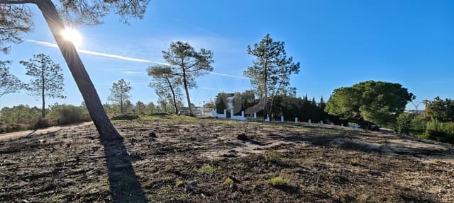 Solar/Parcela en Lepe en venta - 350.000 € (Ref: 9991393)