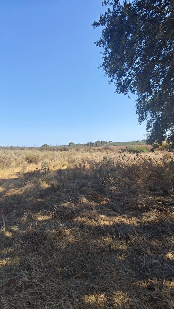 Landgrundstück zu verkaufen in Huelva Stadt - 76.000 € (Ref: 9991404)