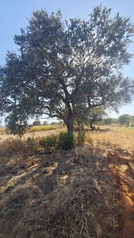 Grond te koop in Villablanca - € 76.000 (Ref: 9991404)