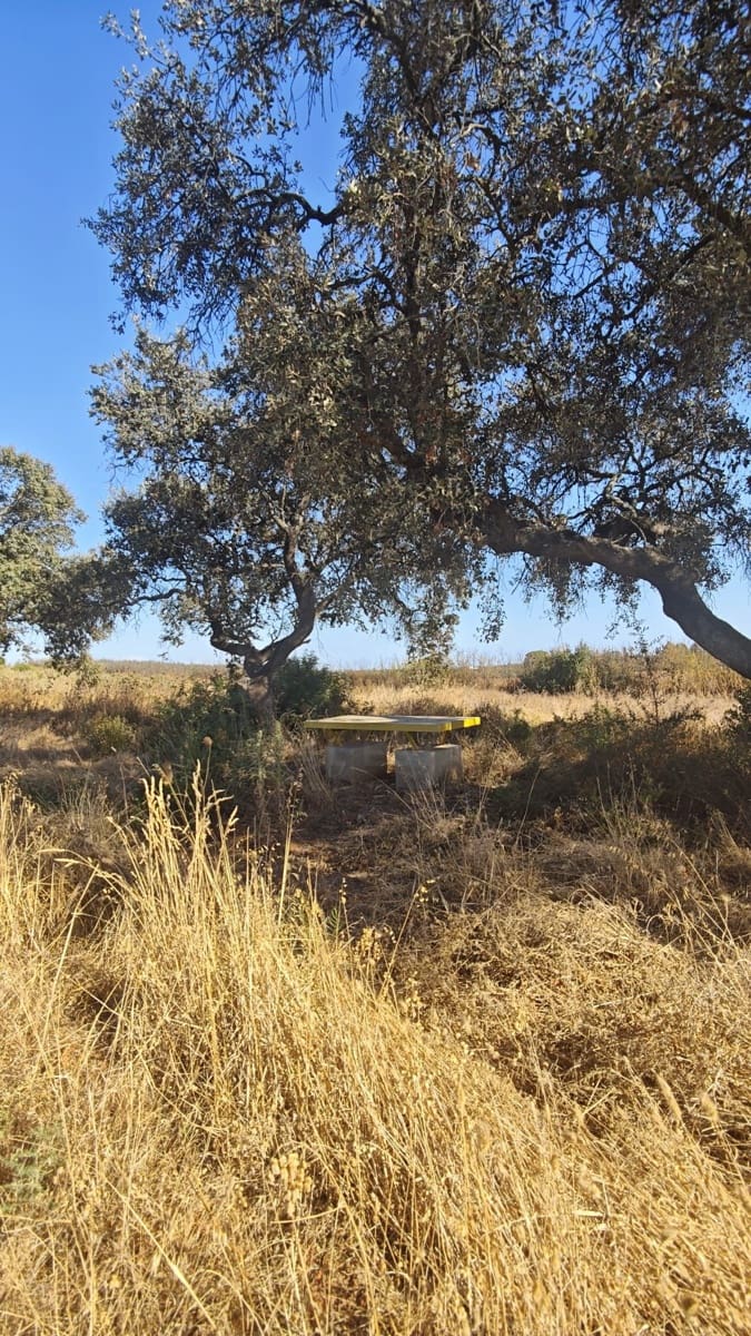Landgrundstück zu verkaufen in Huelva Stadt - 76.000 € (Ref: 9991404)
