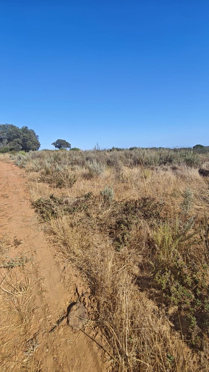 Landgrundstück zu verkaufen in Huelva Stadt - 76.000 € (Ref: 9991404)