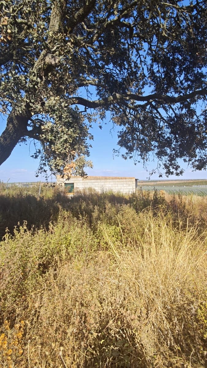 Landgrundstück zu verkaufen in Huelva Stadt - 76.000 € (Ref: 9991404)