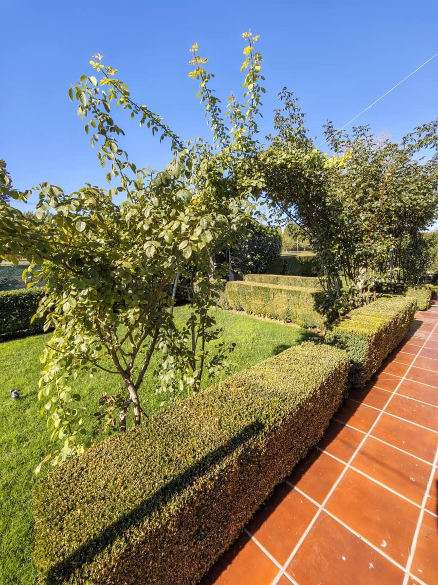 6 sypialnia Dom na sprzedaż w Urdiales del Paramo z garażem - 139 900 € (Ref: 9991413)