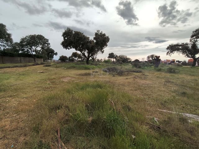 Terreno Non Edificato in vendita in Salamanca città - 29.500 € (Rif: 9991424)