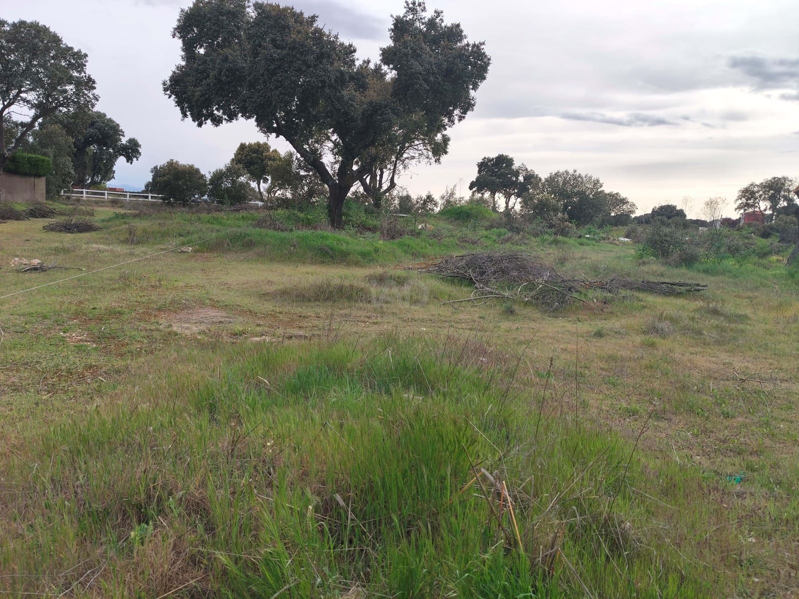 Landgrundstück zu verkaufen in Salamanca Stadt - 29.500 € (Ref: 9991424)