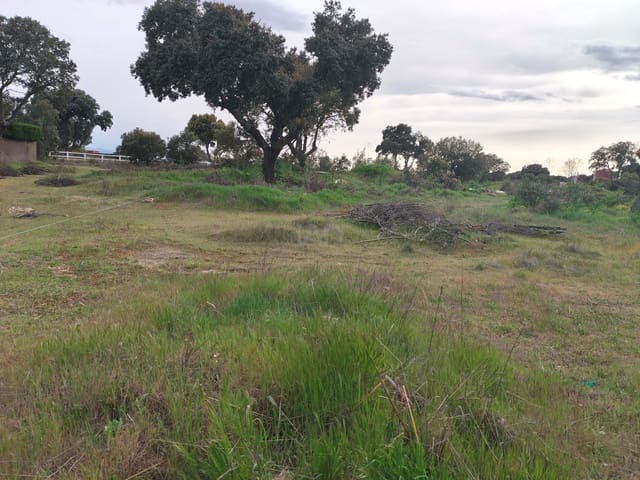 Terreno Non Edificato in vendita in Salamanca città - 29.500 € (Rif: 9991424)