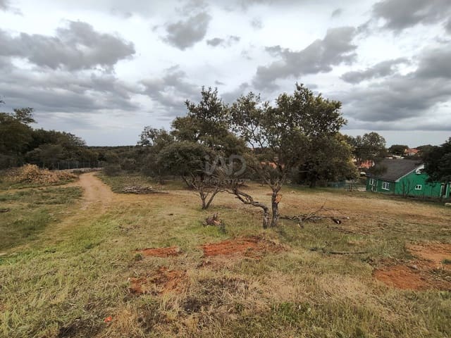 Terreno para Construção para venda em Carrascal de Barregas - 19 500 € (Ref: 9991435)