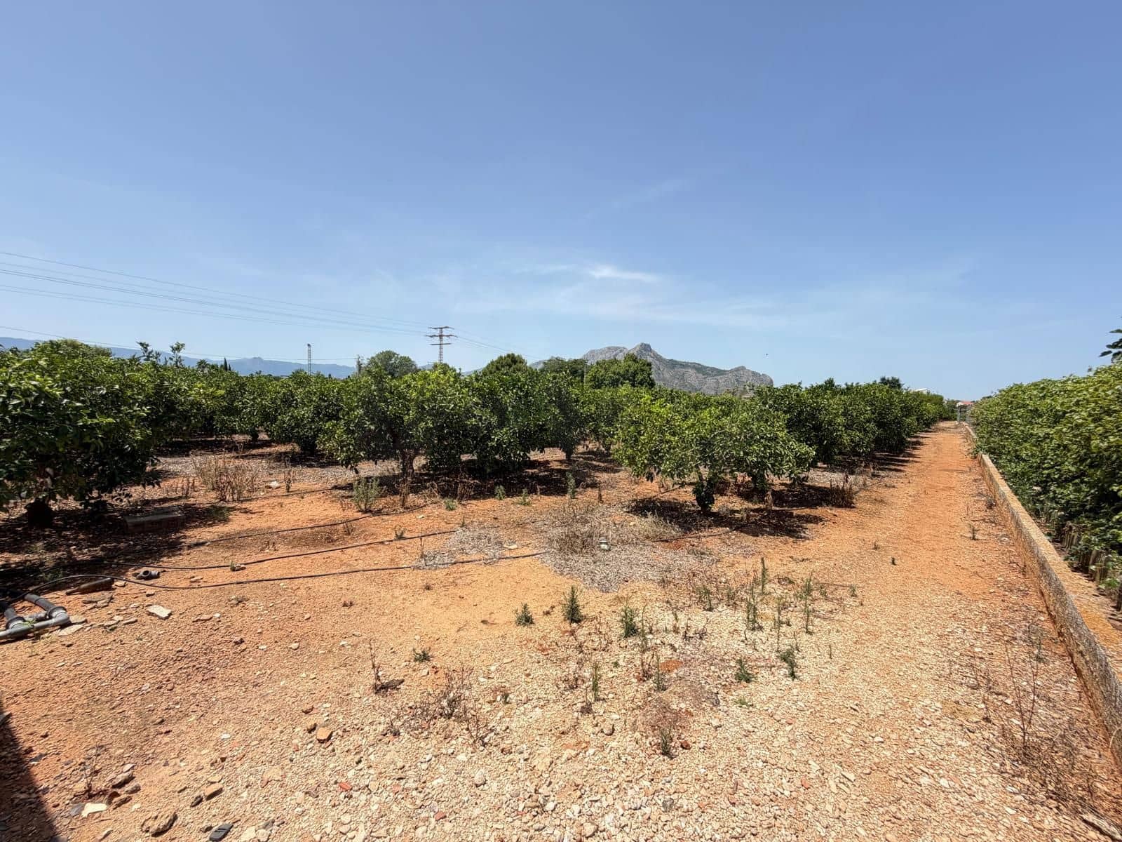 Grunde uden byggetilladelser til salg i Ondara - € 77.000 (Ref: 9991452)