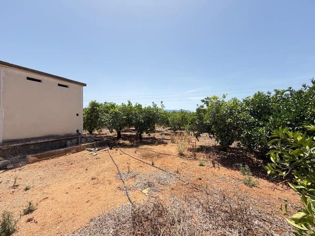 Grunde uden byggetilladelser til salg i Ondara - € 77.000 (Ref: 9991452)