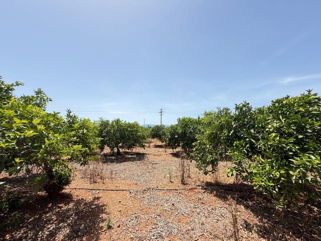Grunde uden byggetilladelser til salg i Ondara - € 77.000 (Ref: 9991452)