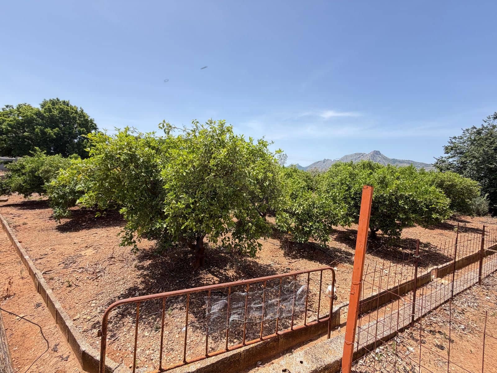 Grunde uden byggetilladelser til salg i Ondara - € 77.000 (Ref: 9991452)
