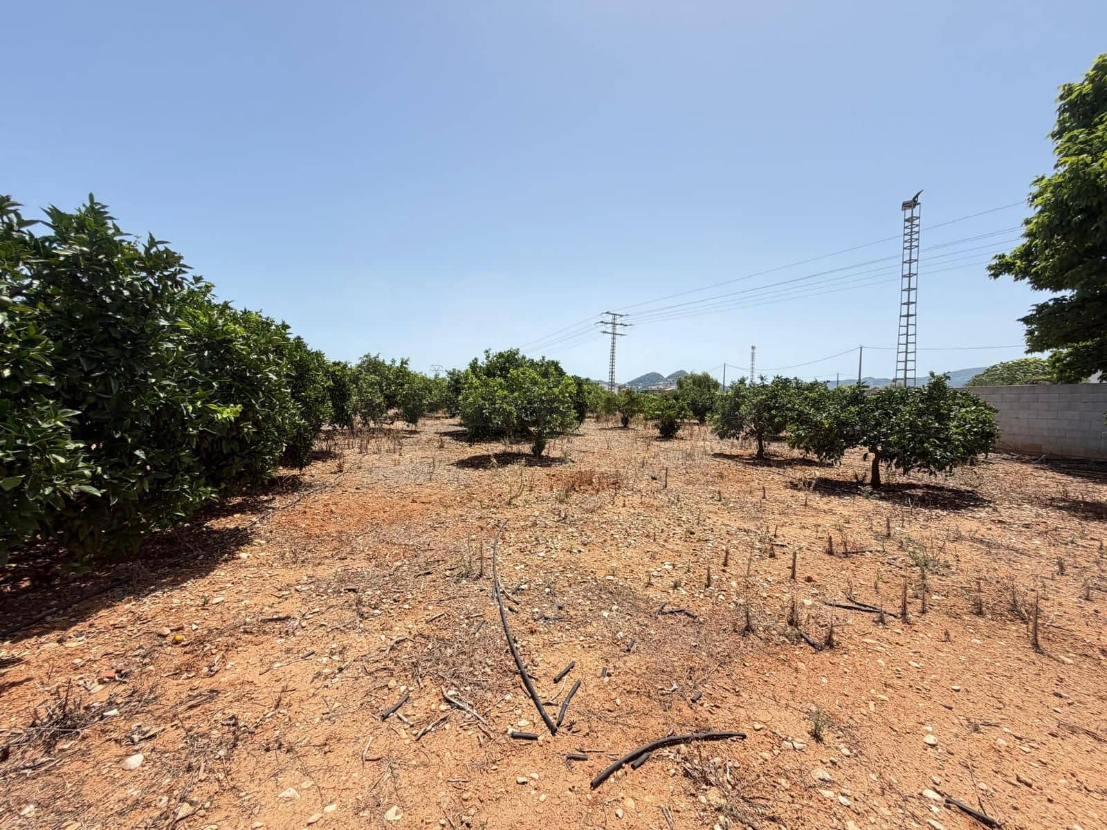 Grunde uden byggetilladelser til salg i Ondara - € 77.000 (Ref: 9991452)