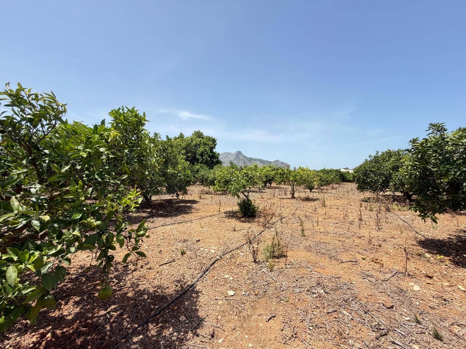 Grunde uden byggetilladelser til salg i Ondara - € 77.000 (Ref: 9991452)