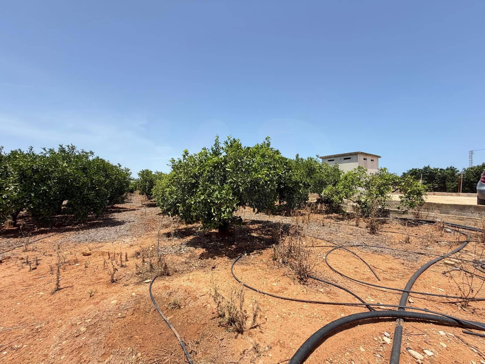 Grunde uden byggetilladelser til salg i Ondara - € 77.000 (Ref: 9991452)