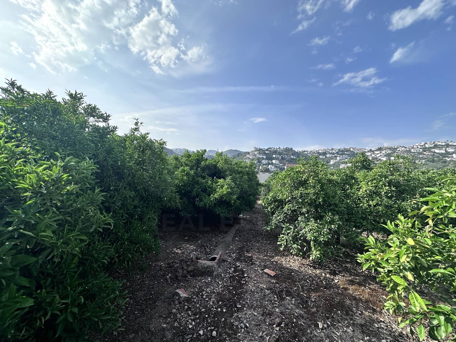 Terreno Non Edificato in vendita in Alicante citta - 24.500 € (Rif: 9991454)