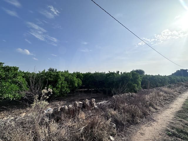 Terreno Non Edificato in vendita in Alicante città - 24.500 € (Rif: 9991454)