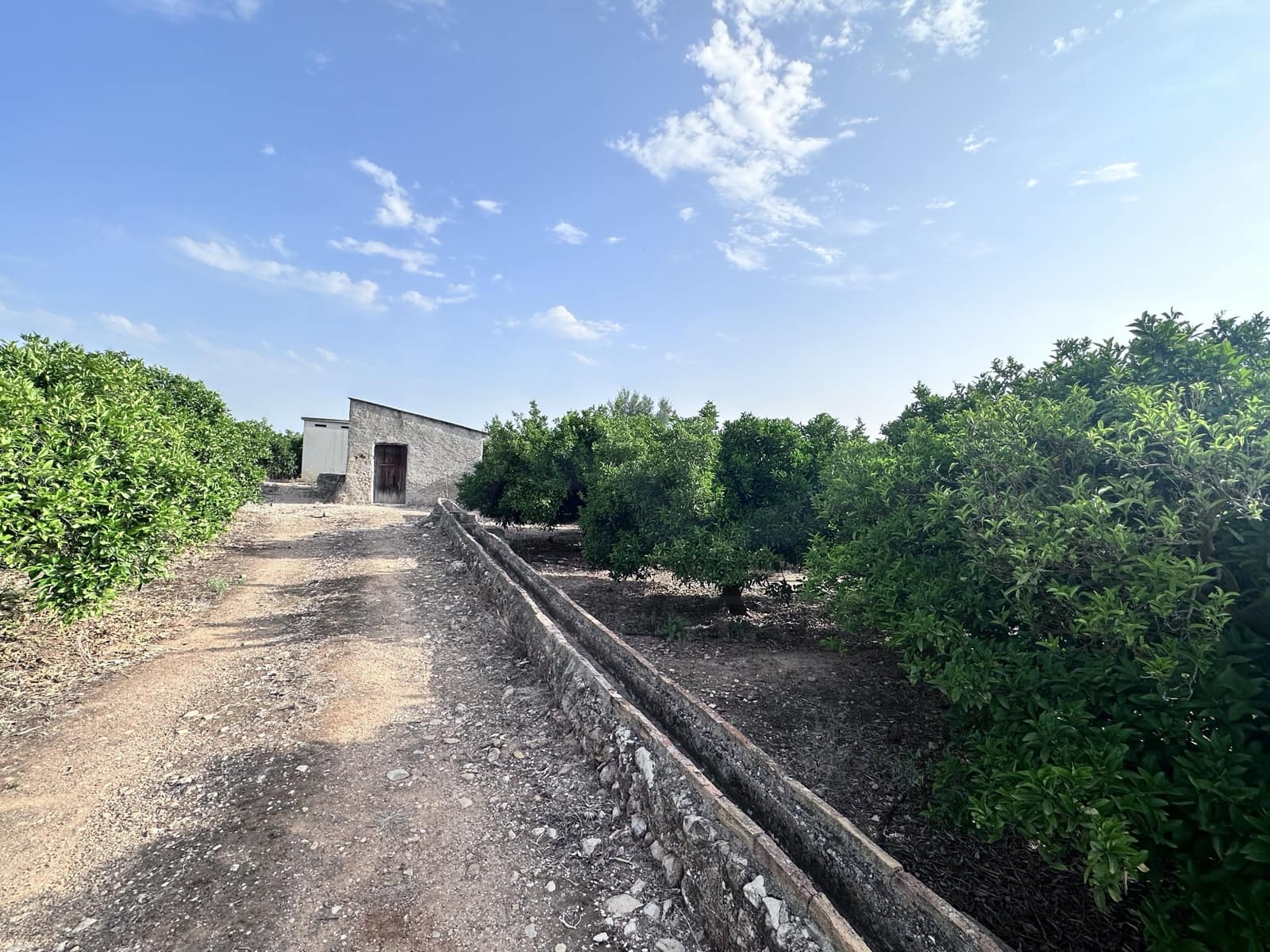 Terreno Non Edificato in vendita in Alicante citta - 24.500 € (Rif: 9991454)