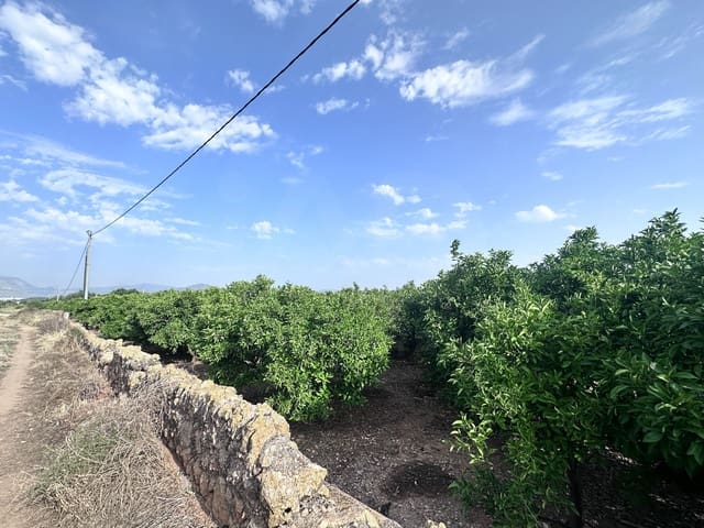 Terreno Non Edificato in vendita in Alicante città - 24.500 € (Rif: 9991454)
